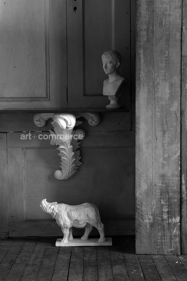 WA_ED_Shop_Plaster_Shot_08_ 015.tif