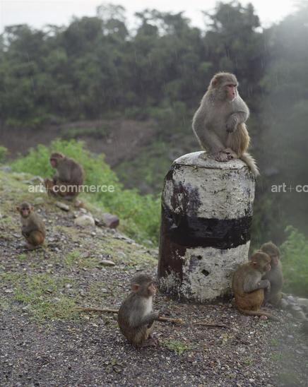 Huba_665353_9GX_7.psd