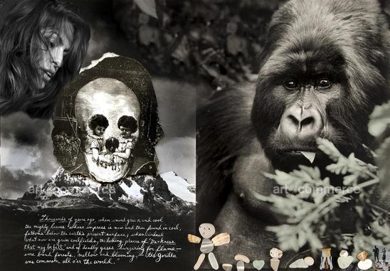 P-gorrila-and-mountain-spread