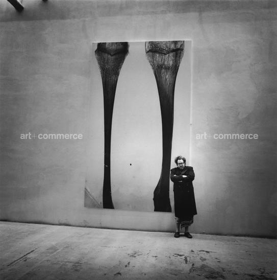 schnabel1.tif