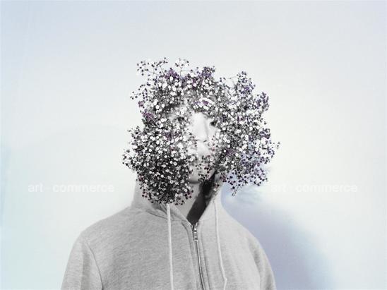 12-babysbreath.tif
