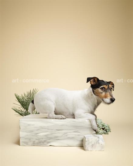 CF026403-AUDREY-V11.jpg