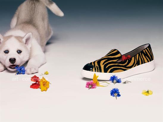 LOVEMAGAZINE_070513_HUSKIES_194 f5 Crop.tif