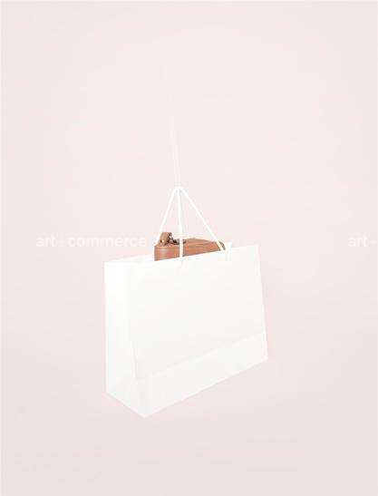 a shopping bag (2).tif