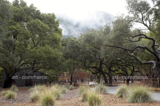 EDC050113ellen_008.psd