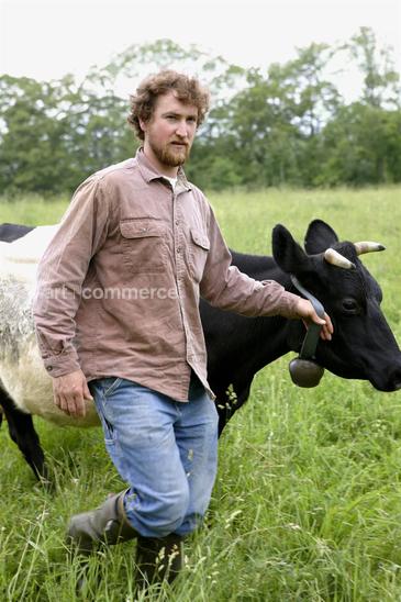 cows_017