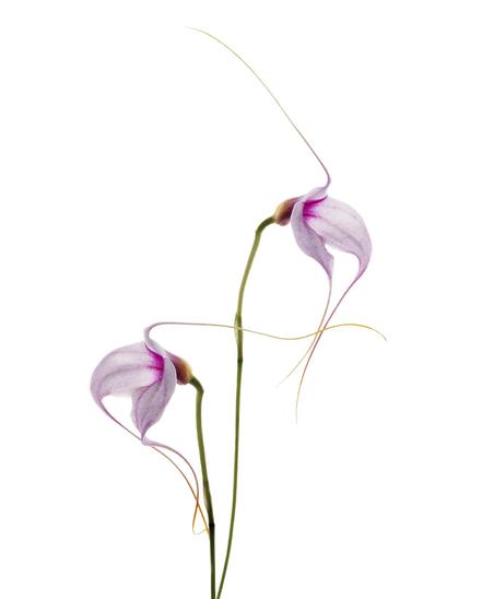 03048a.tif