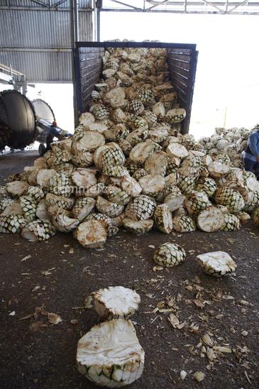 WE_Tequila_1040.jpg