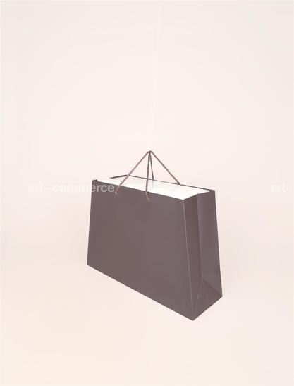a shopping bag (1).tif