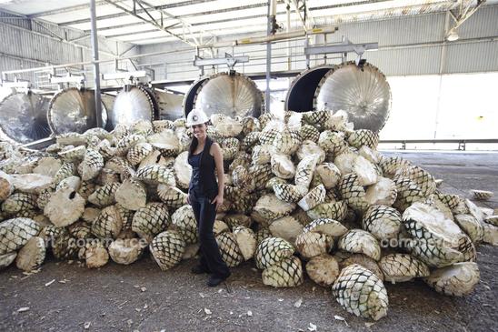 WE_Tequila_1400.tif