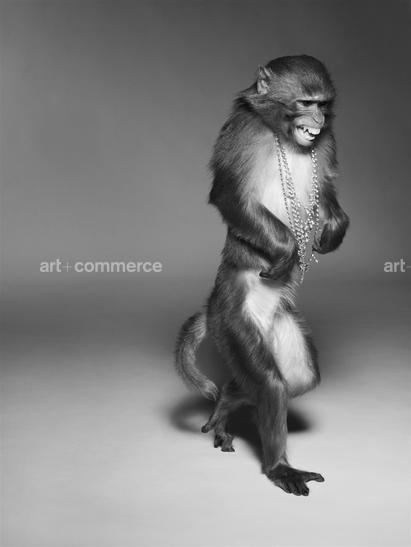 ss_pop_190908_monkeys4-023-2 f2.tif