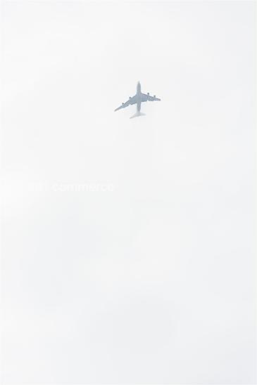 ID_03_109.tif