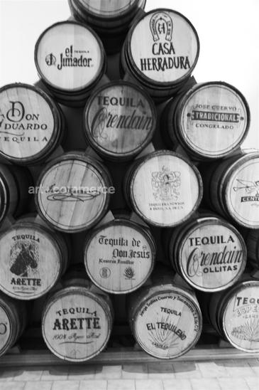 WE_Tequila_0409.jpg