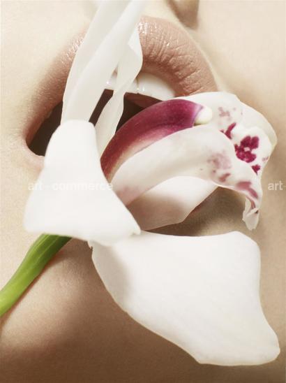 ss_numero_0309_08-039 f2 bleed.tif