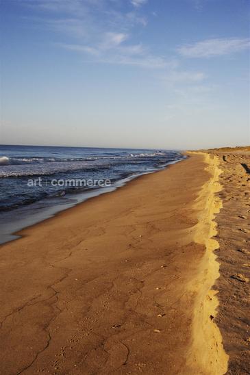 WA_Matthiessen_Amagansett_Dunes0043.tif