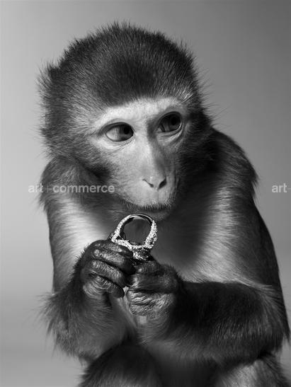 ss_pop_190908_monkeys1-119-2 f2.tif