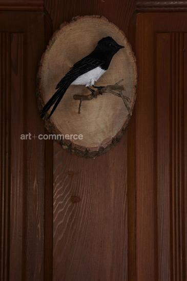 WA_ED_Volpe_Tomales_Living_06_005.tif