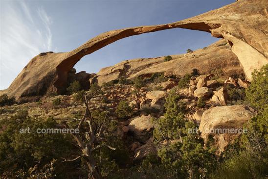 T&C_Utah_7735.jpg