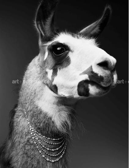 LOVE_MAGAZINE_2014_05_SHOT_02_046 f5.jpg