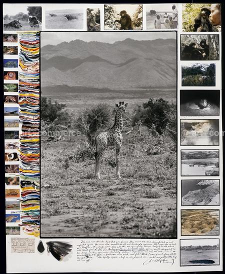 PB studio #404B_FOF-01-D