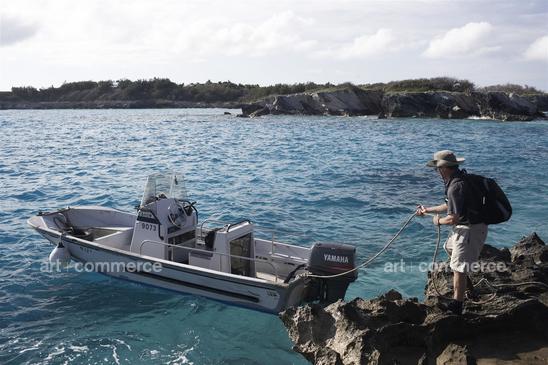 AM_Bermuda_00661