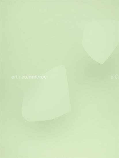 hyeres_green-shape-?nal.tif