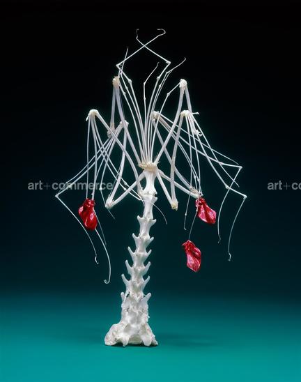 EF-TREE-FC-07-07-06.jpg