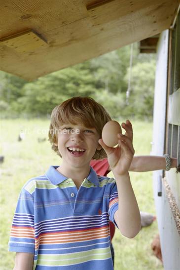 chickens_025