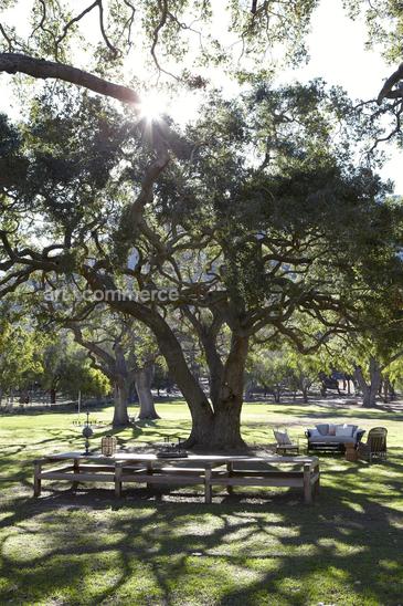 EDC050113ellen_010-1.psd