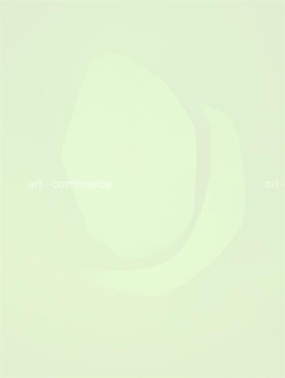 hyeres_shape05.tif