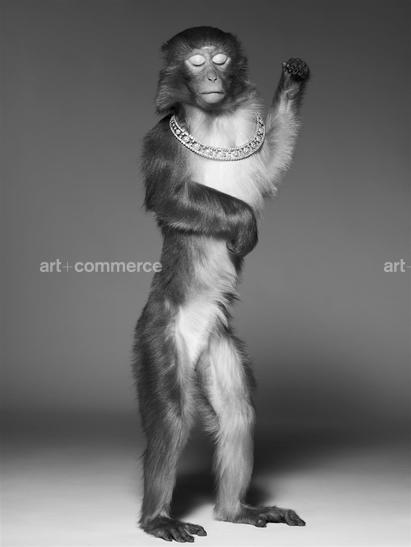 ss_pop_190908_monkeys1-029-2 f2.tif