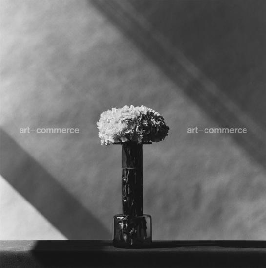 938_Carnations_1982.jpg