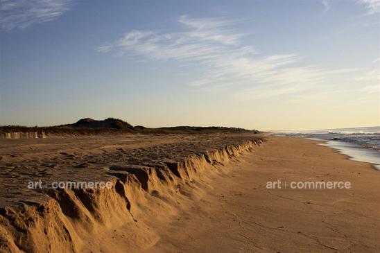 WA_Matthiessen_Amagansett_Dunes0006.tif